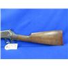 Image 2 : Non-Restricted - Winchester Model 06 in 22 S/L/LR