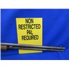 Image 8 : Non-Restricted - Winchester Model 06 in 22 S/L/LR