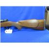 Image 2 : Non-Restricted - Midland Gun Co. Bolt Action in 300 Win Mag