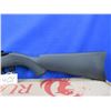 Image 2 : NEW - Non-Restricted - Ruger Model 10/22 in 22LR