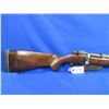 Image 6 : Non-Restricted - Carcano Cooey/T. Eaton Co. in 6.5x54