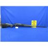 Image 5 : Non-Restricted - Weatherby Mark V Model in 340 Wby Mag