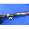 Image 10 : Non-Restricted - E.R. Amantino Gaucha - IGA Condor in 12 Ga.3"
