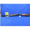 Image 1 : Non-Restricted - E.R. Amantino Gaucha - IGA Condor in 12 Ga.3"