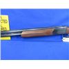 Image 3 : Non-Restricted - E.R. Amantino Gaucha - IGA Condor in 12 Ga.3"