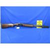 Image 5 : Non-Restricted - E.R. Amantino Gaucha - IGA Condor in 12 Ga.3"