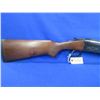 Image 6 : Non-Restricted - E.R. Amantino Gaucha - IGA Condor in 12 Ga.3"