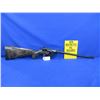 Image 5 : Non-Restricted - Armalite Model AR-7 Explorer in 22LR