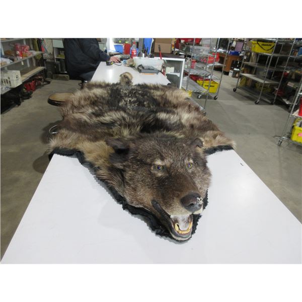 Wolf Skin Rug - Head to Tail Approx. 78", Front Paw to Front Paw Approx. 61"