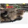 Image 2 : Wolf Skin Rug - Head to Tail Approx. 78", Front Paw to Front Paw Approx. 61"