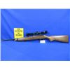 Image 1 : Non-Restricted - Ruger Model 10/22 Carbine in 22 LR