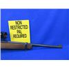 Image 8 : Non-Restricted - Ruger Model 10/22 Carbine in 22 LR