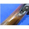 Image 9 : Non-Restricted - Unknown Mauser Model M98 in 8x57JS