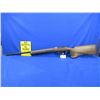 Image 1 : Non-Restricted - CZ Model 527 Varmint MTR in 223 Rem
