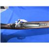 Image 10 : Non-Restricted - Mauser Model 98 in 7x64