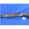 Image 3 : Non-Restricted - Antonio Zoli Model O/U in 12 Ga. 2 3/4"