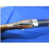 Image 9 : Non-Restricted - Antonio Zoli Model O/U in 12 Ga. 2 3/4"