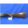 Image 2 : Non-Restricted - Remington Model Nylon 76 Lever Action in 22 LR