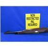 Image 4 : Non-Restricted - Remington Model Nylon 76 Lever Action in 22 LR