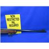 Image 8 : Non-Restricted - Remington Model 700 in 30-06 Sprg
