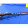 Image 10 : Non-Restricted - Henry Model H001TV in 17 HMR