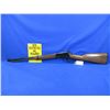 Image 1 : Non-Restricted - Henry Model H001TV in 17 HMR