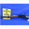 Image 3 : Non-Restricted - Henry Model H001TV in 17 HMR
