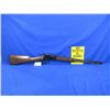 Image 5 : Non-Restricted - Henry Model H001TV in 17 HMR