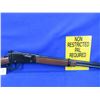 Image 7 : Non-Restricted - Henry Model H001TV in 17 HMR