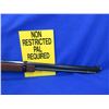 Image 8 : Non-Restricted - Henry Model H001TV in 17 HMR