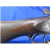 Image 9 : Non-Restricted - Belgian Gold Hibbard in 12 Ga. 2 3/4"