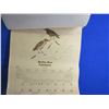 Image 5 : Vintage Saskatchewan Indian Cultural Calendar 1978