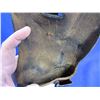 Image 4 : Beretta M1934 Type B Leather Holster - Right Hand