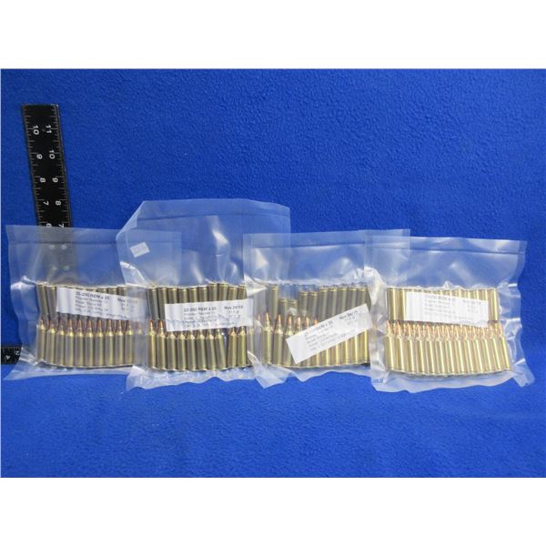 22-250 Rem. Reloads - Lot of 100 (We Can Not Ship - Pick Up Only)