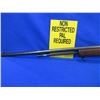Image 4 : Non-Restricted - Cooey Model 60 in 22 S/L/LR