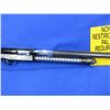 Image 7 : Non-Restricted - NRS Fuji Dynamic Auto Parts Gun in 12 Ga 3"
