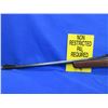 Image 4 : Non-Restricted - Enfield Model P14 in 303 British