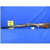 Image 1 : Non-Restricted - Antonio Zoli O/U in 12 Ga. 2 3/4"