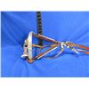 Image 1 : Horse Show Halter - Design by Dale Chavez - Premium Leather & Possibly Silver Plate