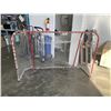 Image 5 : TWO IRON HEAVY DUTY HOCKEY NETS