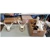 Image 1 : BOX OF ANTLERS AND SKULLS