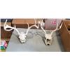 Image 2 : BOX OF ANTLERS AND SKULLS