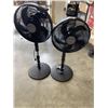 Image 1 : 2 BLACK FLOOR FANS COMFORTMATE