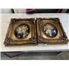 Image 1 : 2 CASED AND FRAMED REAL HAWAIIAN FLOWERS AND LEAVES