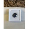 Image 1 : NEW 10.9CT NATURAL BLUE SAPPHIRE, UNTREATED, OVAL CUT