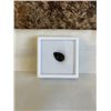 Image 1 : NEW 3.1CT NATURAL BLACK ONYX, UNTREATED, PEAR CUT