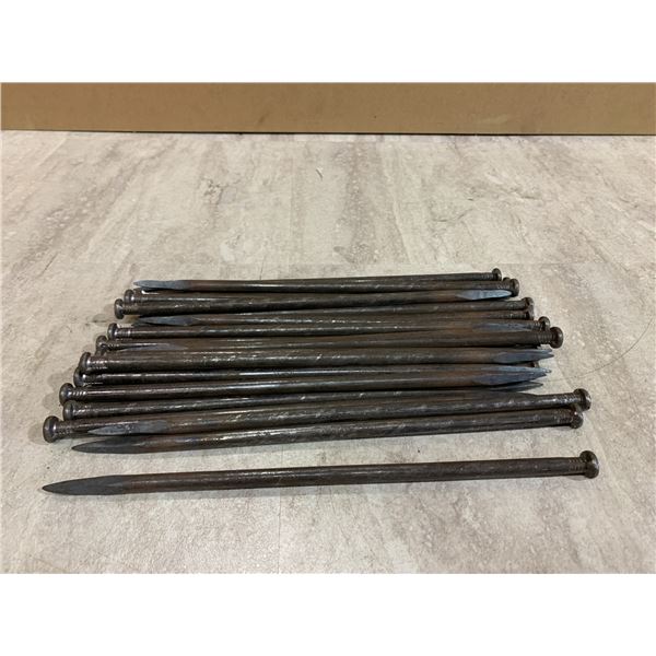 Lot of 25 - 1 Foot Spikes