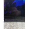 Image 5 : Orodruin 2003 Debut Vinyl Album