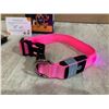 Image 2 : LED Dog Collar - Small
