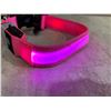 Image 3 : LED Dog Collar - Small